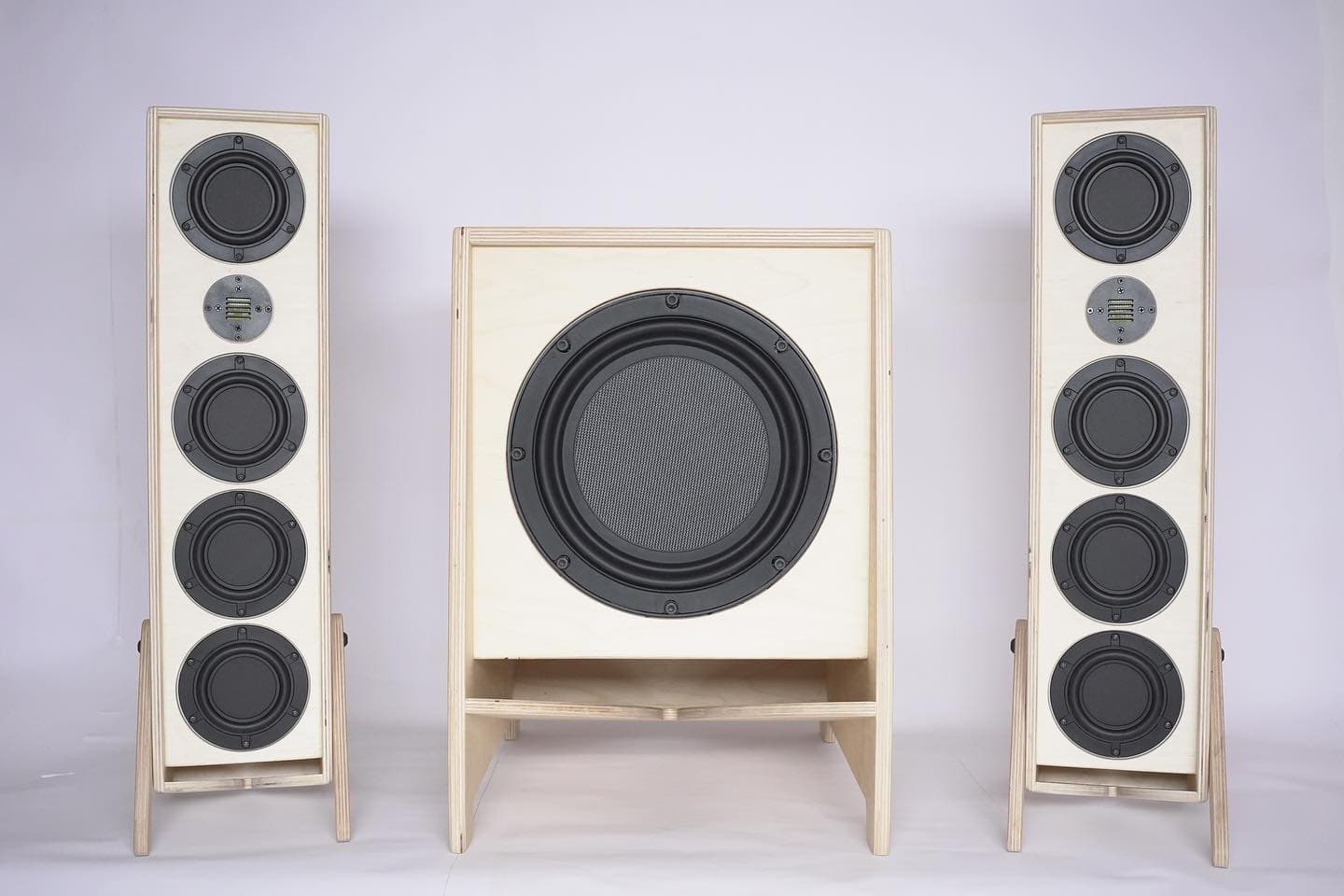 Woofer B2501 — detail 2