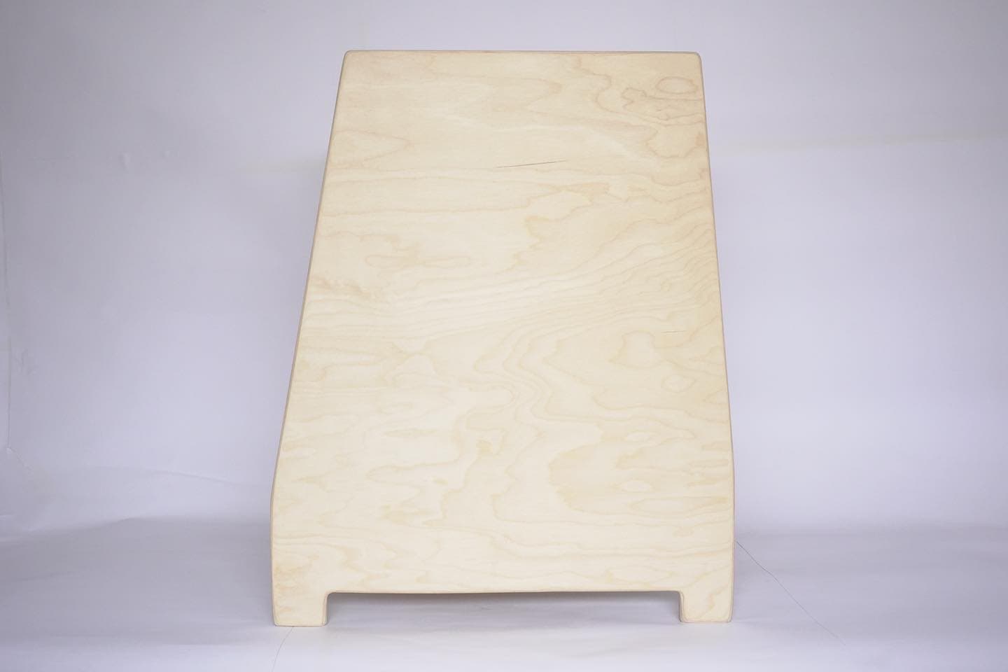 Woofer B2501 — detail 1
